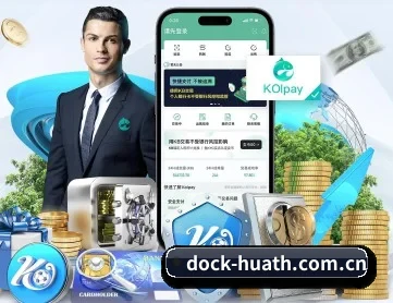 dock-huath.com.cn APP 深度功能
